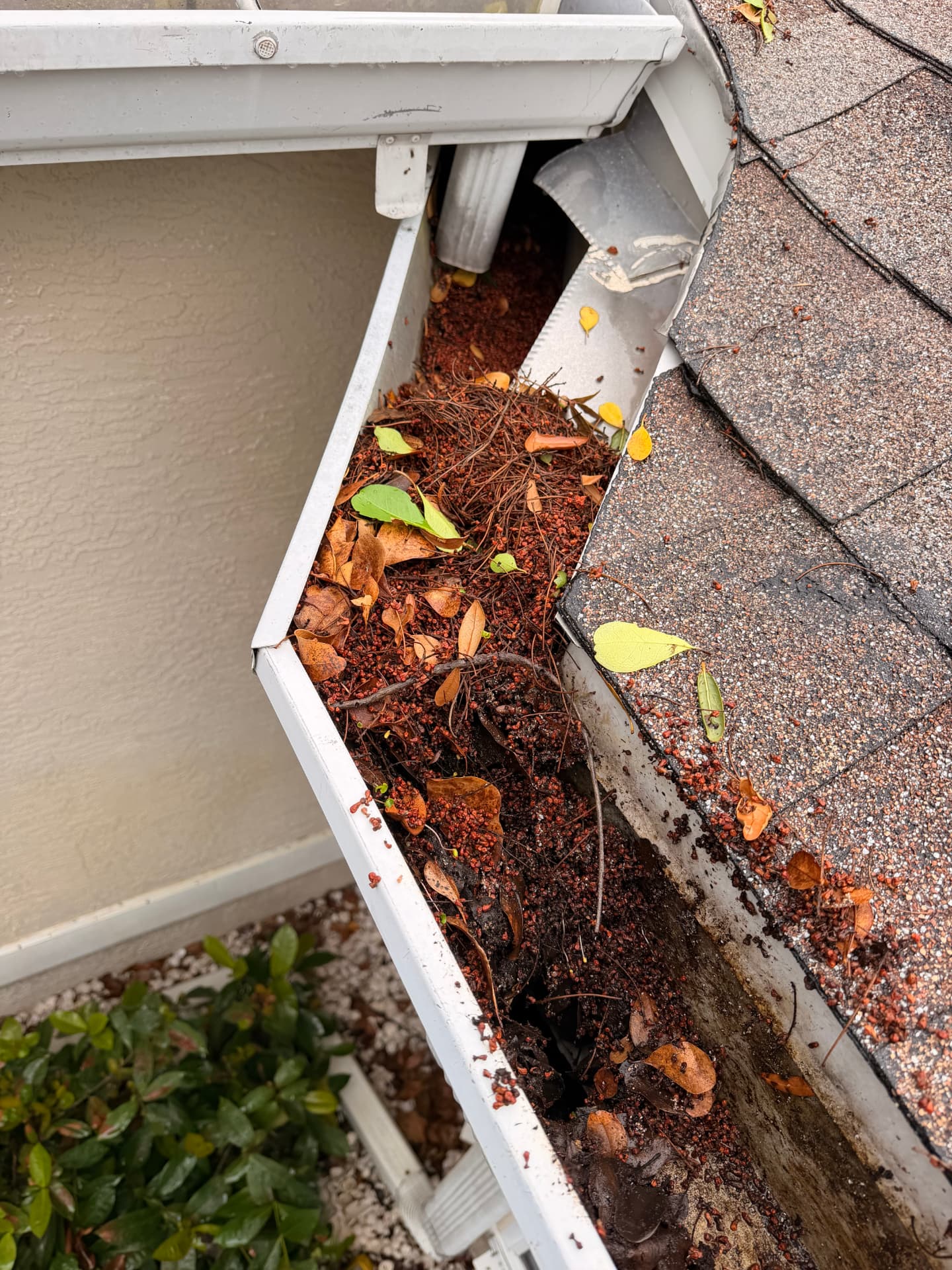 Gutter Cleaning