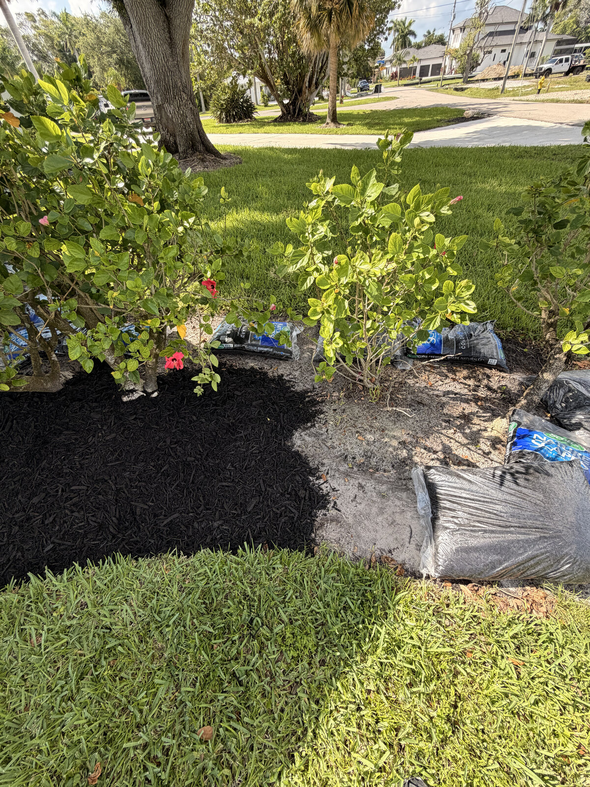Done Right Home Works team member planting a shrub next to a home